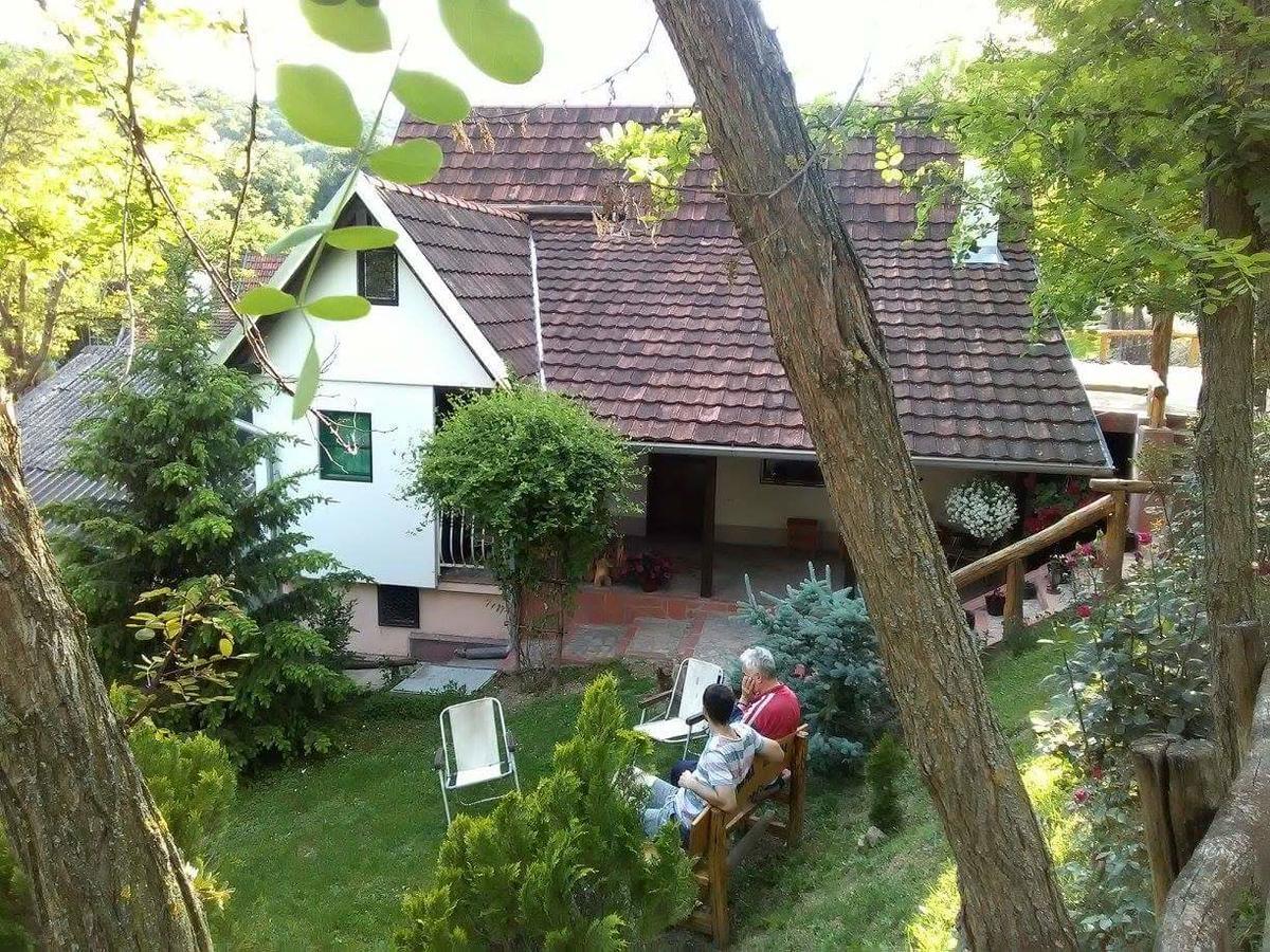 Skriveni Raj Apartment Vrdnik Exterior photo